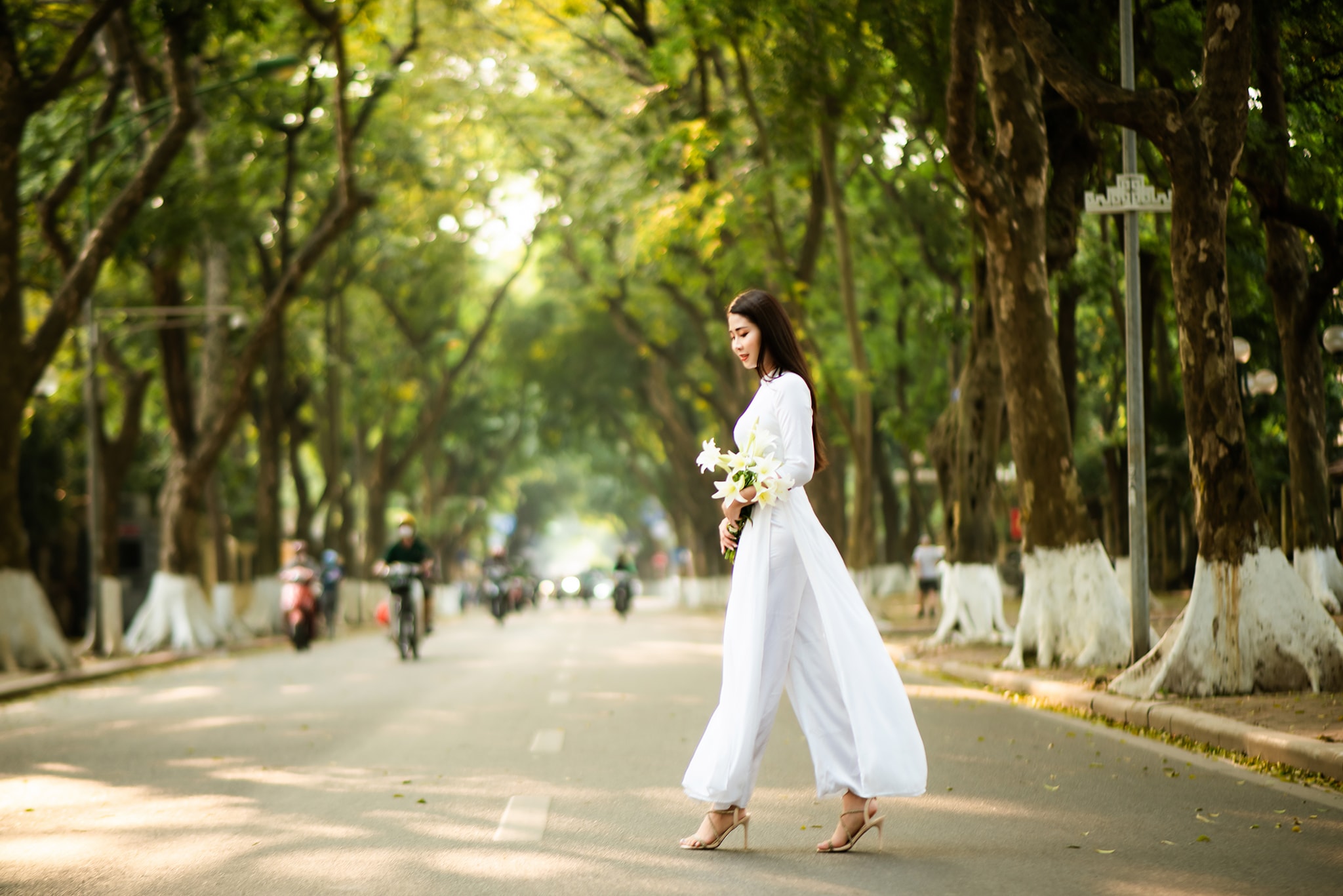 Tản bộ ven đường Phan Đình Phùng